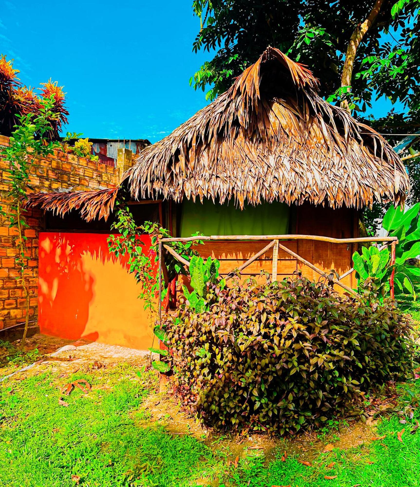 Otorongo Guest House Iquitos Bagian luar foto